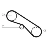 Zahnriemen CONTITECH CT1082