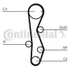 Zahnriemensatz CONTITECH CT1099K2 Bild Zahnriemensatz CONTITECH CT1099K2