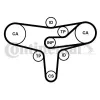 Zahnriemensatz CONTITECH CT1117K2PRO Bild Zahnriemensatz CONTITECH CT1117K2PRO