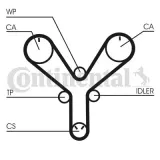 Zahnriemen CONTITECH CT1147