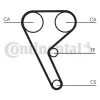 Zahnriemen CONTITECH CT1157 Bild Zahnriemen CONTITECH CT1157