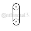 Zahnriemen CONTITECH CT1238 Bild Zahnriemen CONTITECH CT1238