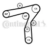Zahnriemen CONTITECH CT1241 Bild Zahnriemen CONTITECH CT1241
