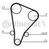 Zahnriemensatz CONTITECH CT521K1 Bild Zahnriemensatz CONTITECH CT521K1