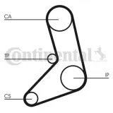 Zahnriemen CONTITECH CT542