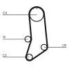 Zahnriemen CONTITECH CT594