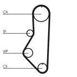 Zahnriemen CONTITECH CT595