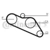 Zahnriemen CONTITECH CT612 Bild Zahnriemen CONTITECH CT612