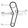Zahnriemen CONTITECH CT631 Bild Zahnriemen CONTITECH CT631