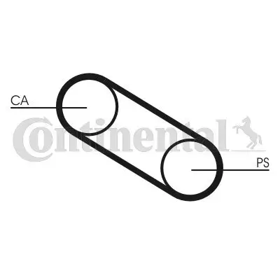 Zahnriemen CONTITECH CT667 Bild Zahnriemen CONTITECH CT667