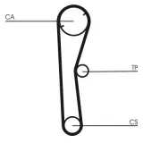 Zahnriemen CONTITECH CT674