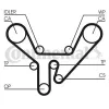 Zahnriemen CONTITECH CT727 Bild Zahnriemen CONTITECH CT727