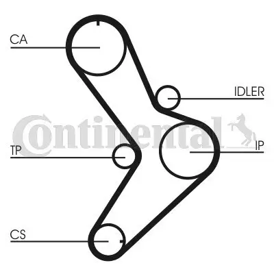 Zahnriemen CONTITECH CT731 Bild Zahnriemen CONTITECH CT731