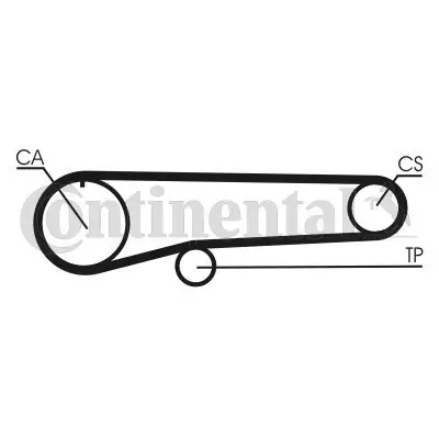Zahnriemen CONTITECH CT779 Bild Zahnriemen CONTITECH CT779