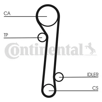 Zahnriemen CONTITECH CT781 Bild Zahnriemen CONTITECH CT781