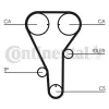 Zahnriemen CONTITECH CT787 Bild Zahnriemen CONTITECH CT787