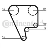 Zahnriemen CONTITECH CT794