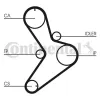 Zahnriemen CONTITECH CT1038 Bild Zahnriemen CONTITECH CT1038