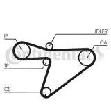 Zahnriemen CONTITECH CT810