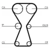 Zahnriemen CONTITECH CT826 Bild Zahnriemen CONTITECH CT826
