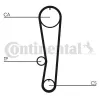 Zahnriemen CONTITECH CT895 Bild Zahnriemen CONTITECH CT895
