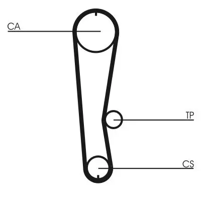 Zahnriemen CONTITECH CT936