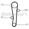 Zahnriemen CONTITECH CT942 Bild Zahnriemen CONTITECH CT942