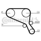 Zahnriemen CONTITECH CT953