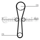 Zahnriemen CONTITECH CT954