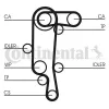 Zahnriemen CONTITECH CT957(SET) Bild Zahnriemen CONTITECH CT957(SET)