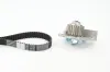 Wasserpumpe + Zahnriemensatz CONTITECH CT708WP1 Bild Wasserpumpe + Zahnriemensatz CONTITECH CT708WP1