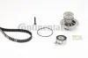 Wasserpumpe + Zahnriemensatz CONTITECH CT874WP1 Bild Wasserpumpe + Zahnriemensatz CONTITECH CT874WP1