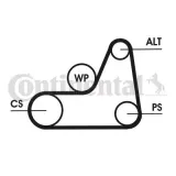 Keilrippenriemensatz CONTITECH 6PK1042 ELAST T1