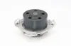 Wasserpumpe, Motorkühlung CONTITECH WP6037