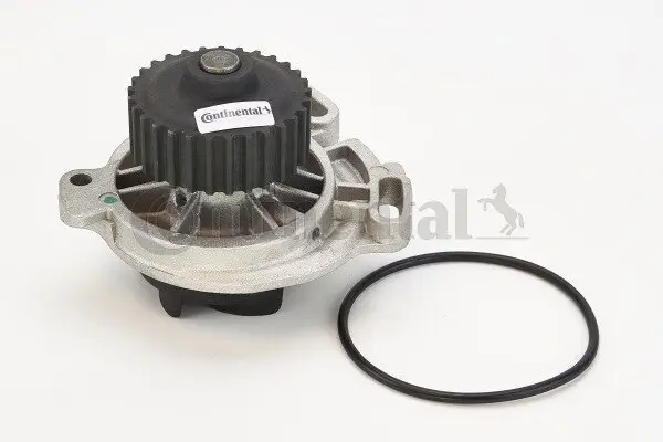 Wasserpumpe, Motorkühlung CONTITECH WP6066