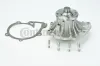 Wasserpumpe, Motorkühlung CONTITECH WPS3031