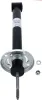 Stoßdämpfer Hinterachse SACHS 105 781 Bild Stoßdämpfer Hinterachse SACHS 105 781