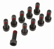 Schraubensatz, Schwungrad SACHS 1874 000 095
