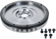 Schwungrad SACHS 3021 600 290