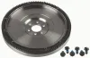 Schwungrad SACHS 3021 600 294 Bild Schwungrad SACHS 3021 600 294