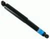 Stoßdämpfer Hinterachse SACHS 313 505