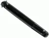 Stoßdämpfer Hinterachse SACHS 313 597