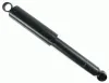 Stoßdämpfer Hinterachse SACHS 313 789
