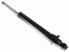 Stoßdämpfer Hinterachse SACHS 313 794
