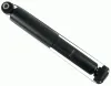 Stoßdämpfer Hinterachse SACHS 313 856