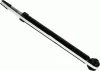 Stoßdämpfer Hinterachse SACHS 317 596 Bild Stoßdämpfer Hinterachse SACHS 317 596