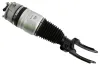 Luftfederbein Vorderachse links SACHS 319 402 Bild Luftfederbein Vorderachse links SACHS 319 402