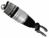 Luftfederbein Vorderachse links SACHS 319 416 Bild Luftfederbein Vorderachse links SACHS 319 416