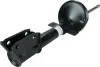 Stoßdämpfer Hinterachse SACHS 350 690 Bild Stoßdämpfer Hinterachse SACHS 350 690