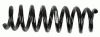 Fahrwerksfeder Hinterachse SACHS 994 481